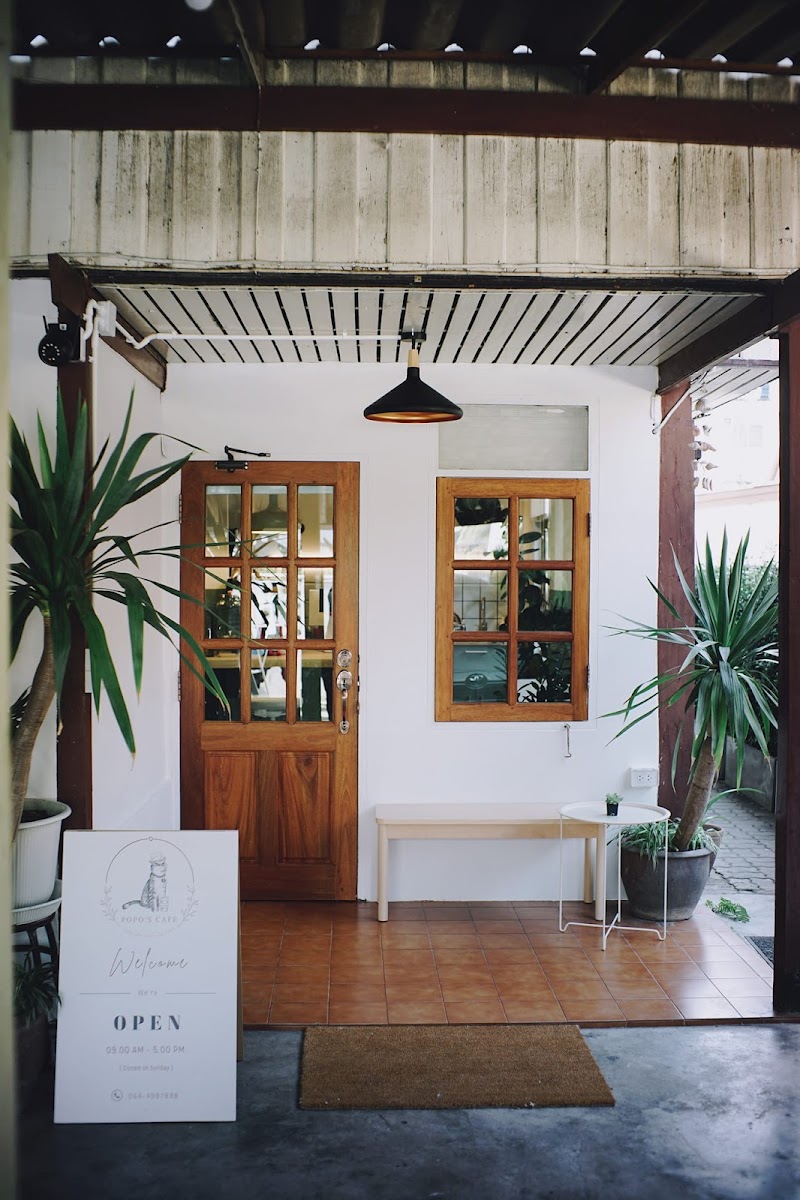 Popo’s Cafe Chiangmai คาเฟ่แมว เชียงใหม่