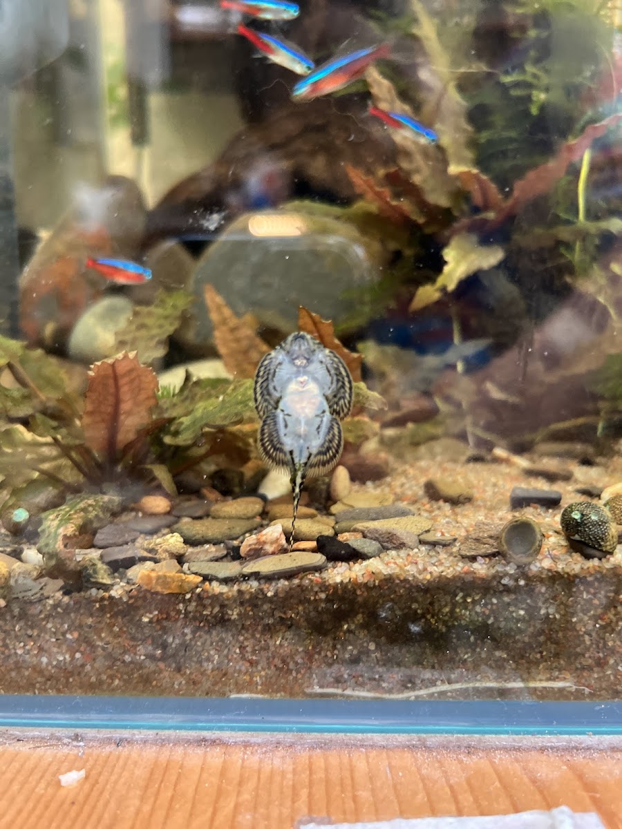 Ann Coffee Garden - 7