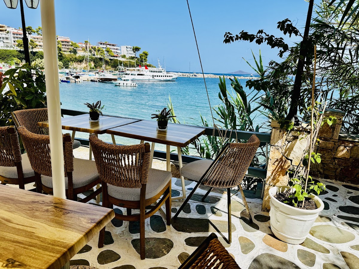 APROVLEPTO Coffe Bar