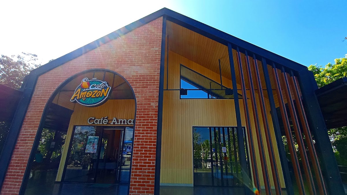Café Amazone ปตท แม่แตง