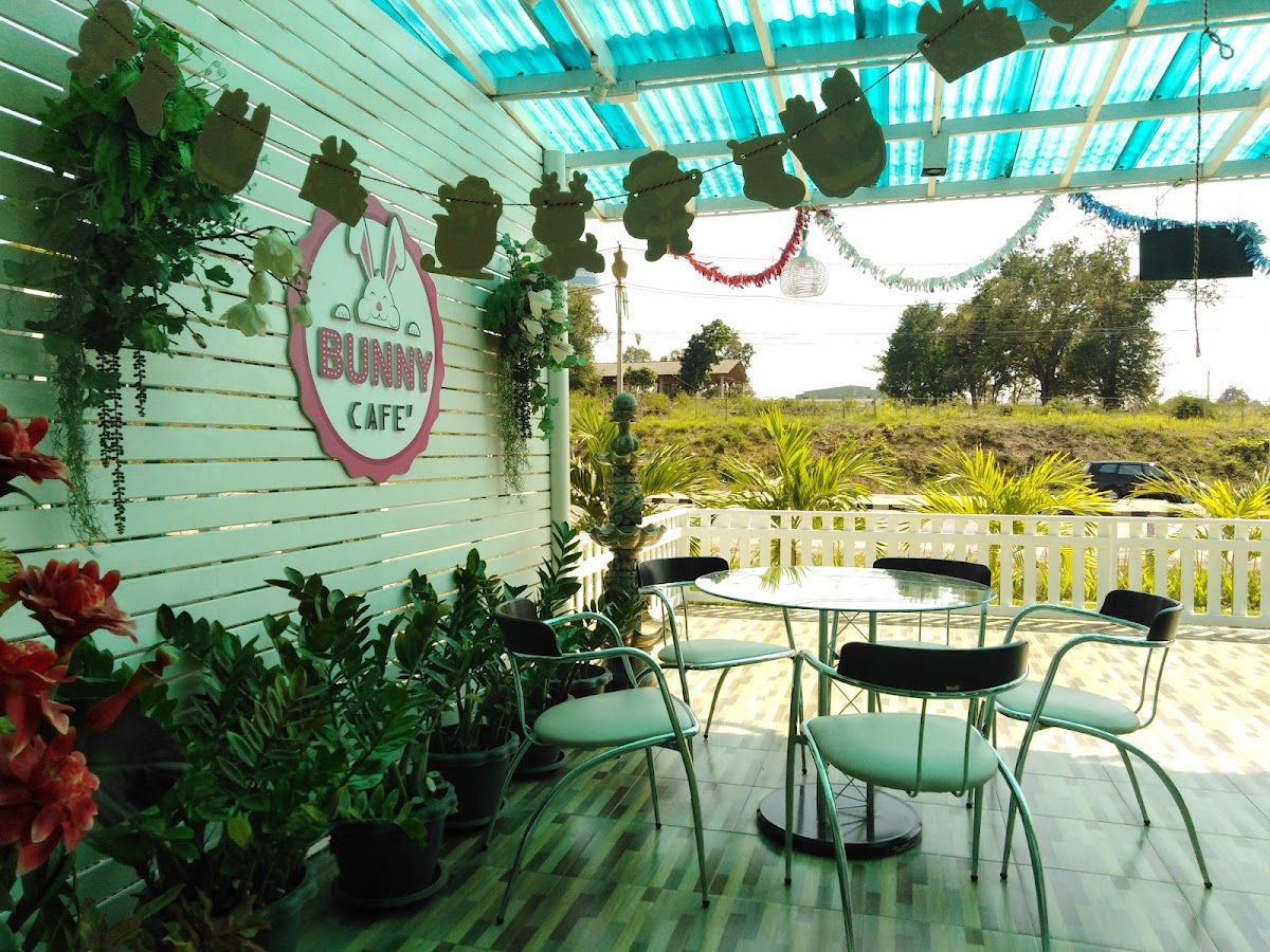 Bunny Café Udonthani