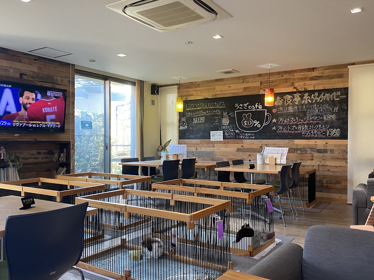 100%うさぎcafe