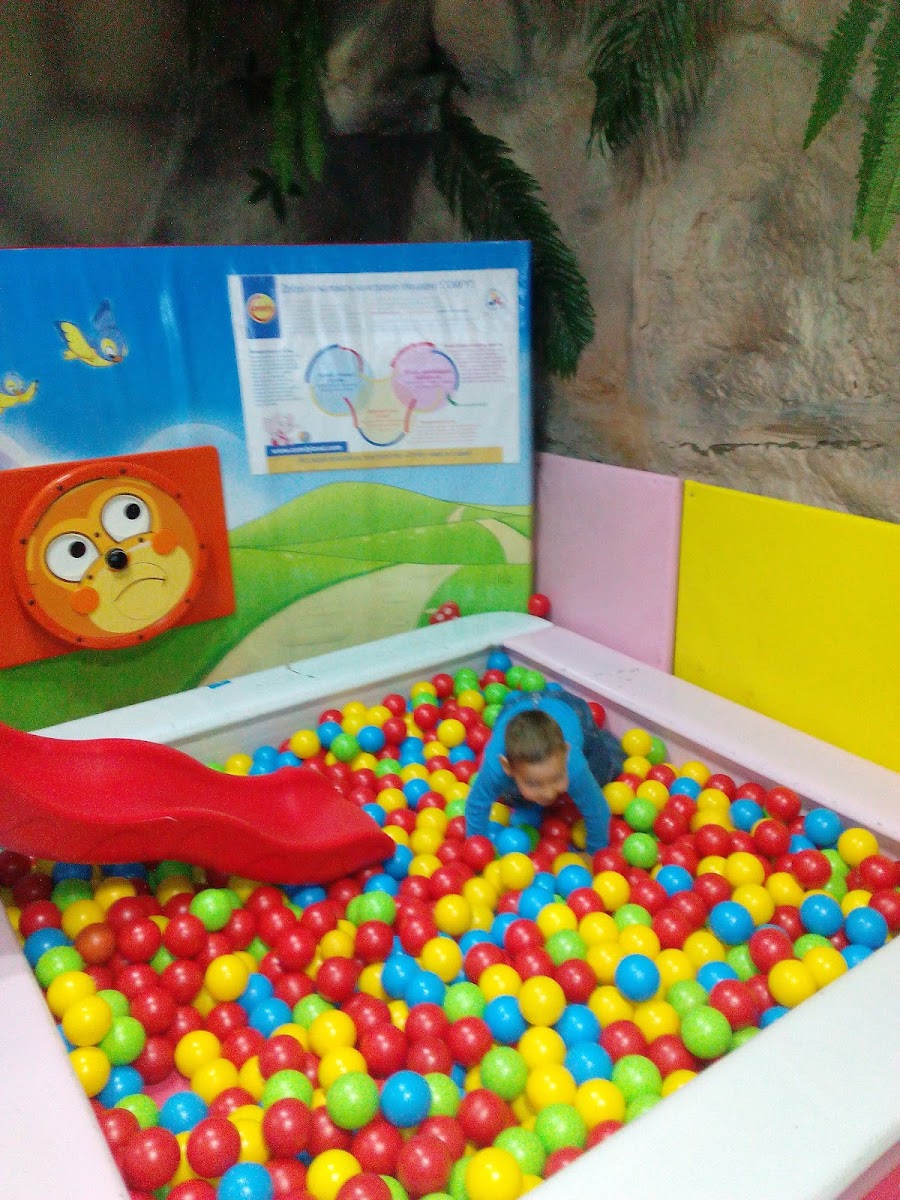 Kafe 'Dinozavriya' - 8